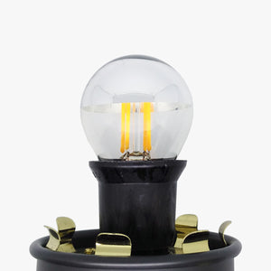Crown Silver Filament Mini Globe LED Screw Cap